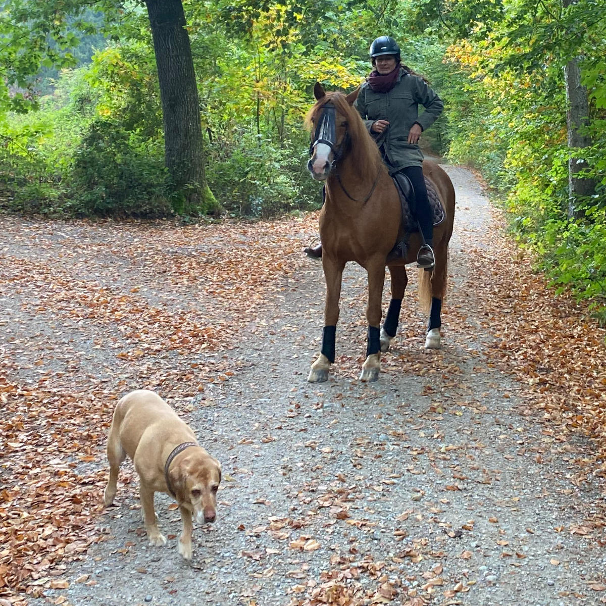 Entpannt mit Hund und Pferd ausreiten