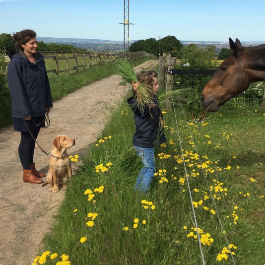 Ich habe einen Hund und habe Fragen…