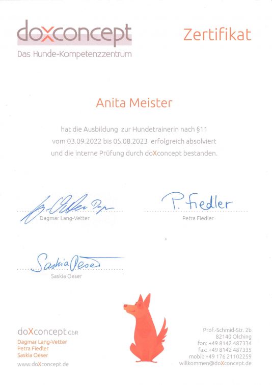 Am Hund | Zertifikate | DoxConcept Hundertrainerin
