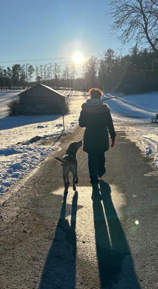 Mensch-Hund | Ein Dream-Team